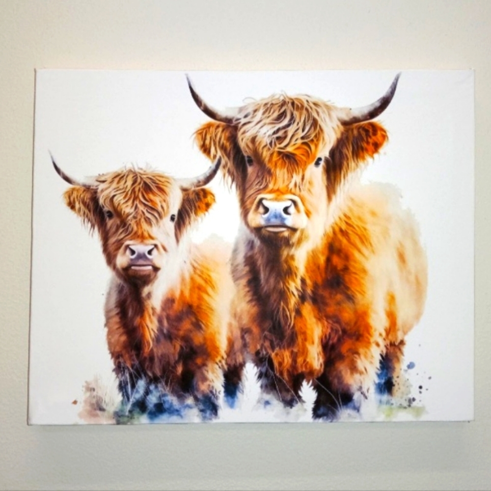 Highland Cow 8x10 Wall Canvas